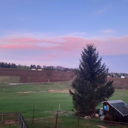 Ferienwohnung Wiesenblick In Seiffen Dış mekan fotoğraf