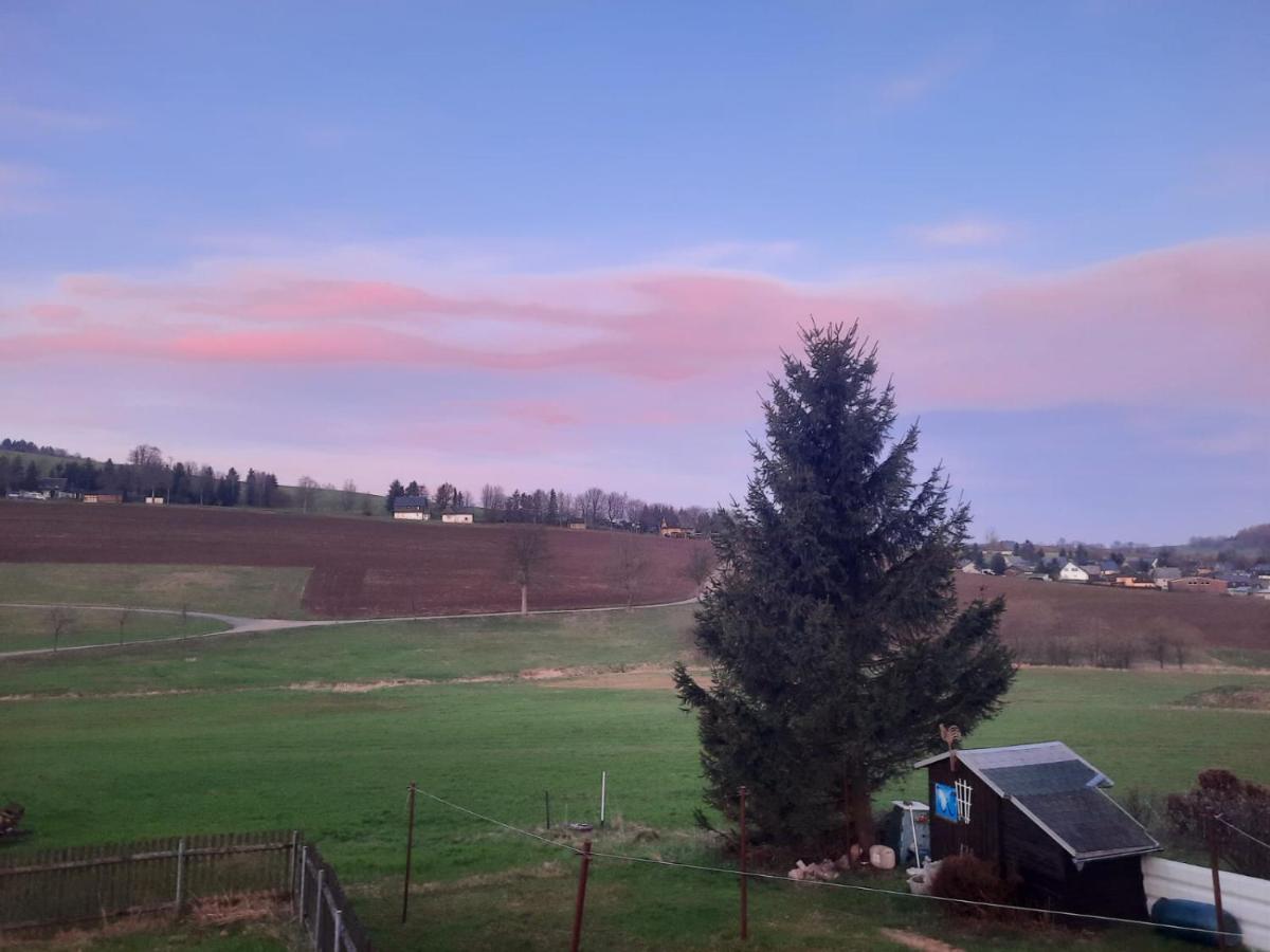 Ferienwohnung Wiesenblick In Seiffen Dış mekan fotoğraf