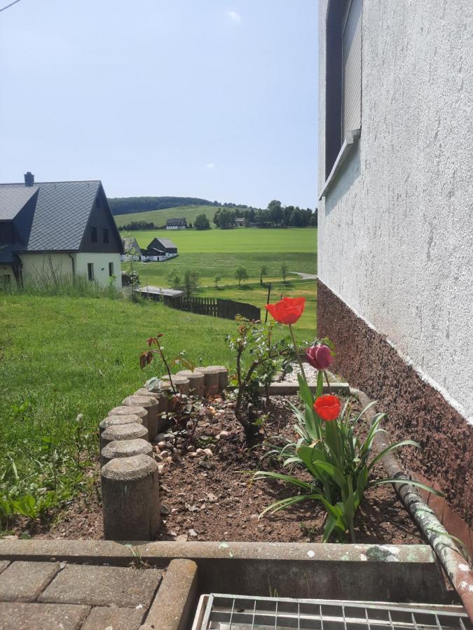 Ferienwohnung Wiesenblick In Seiffen Dış mekan fotoğraf